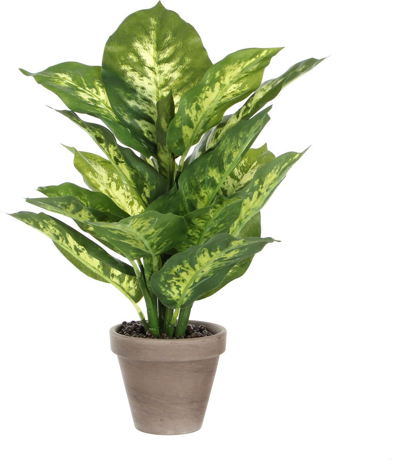 Decoraciones de mica planta artificial dieffenbachia - verde - 40 cm - en maceta - planta falsa - planta de interior