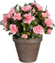 Mica decorations kunstplant - azalea - perzik - in pot - 31 cm - nepplanten