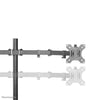 Neomounts flatscreen bureausteun fpma-d550ddblack bevestiging (zwart)