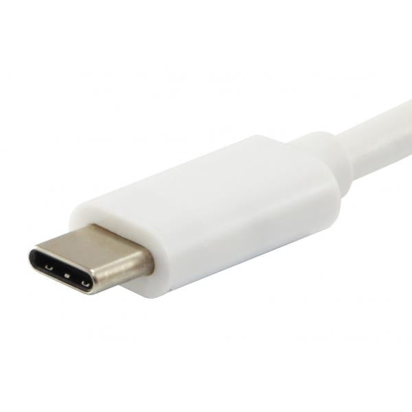 Equipaggia 133462 USB Tipo C a VGA femmina USB Un adattatore PD femmina, 1080p, 15 cm, bianco