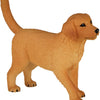 Mojo farmland golden retriever puppy - 387205