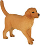 Mojo farmland golden retriever puppy - 387205
