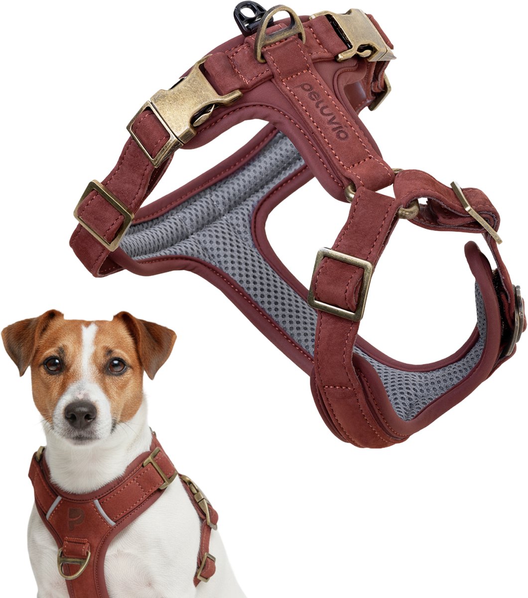 Peluvio lord - arnés de cuero para perros - talla s - arnés protector ergonómico hecho de cuero natural - control de comodidad - hebillas de cobre duraderas