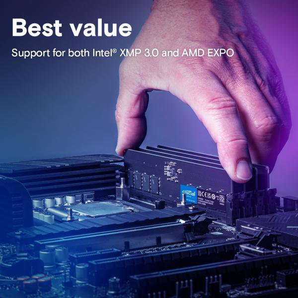 CT8G56C46U5 DIMM crucial, 8 GB, DDR5 5600 MHz, PC5-44800, sin hormiguear