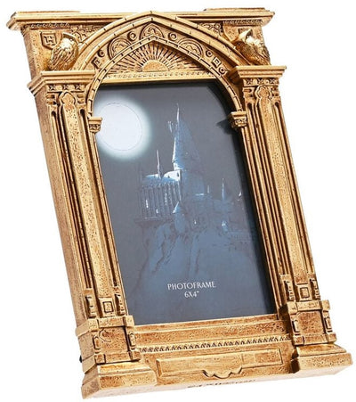 Oggetti decorativi unisex del portale di Hogwarts di Harry Potter - color oro - standard