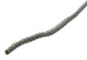 Mack 1014955 - cuerda de unión de algodón 4mm-20m | 5 piezas