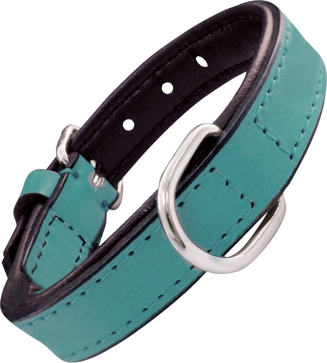 Collare per cani Gloria imbottito turchese (35 x 1,5 cm)