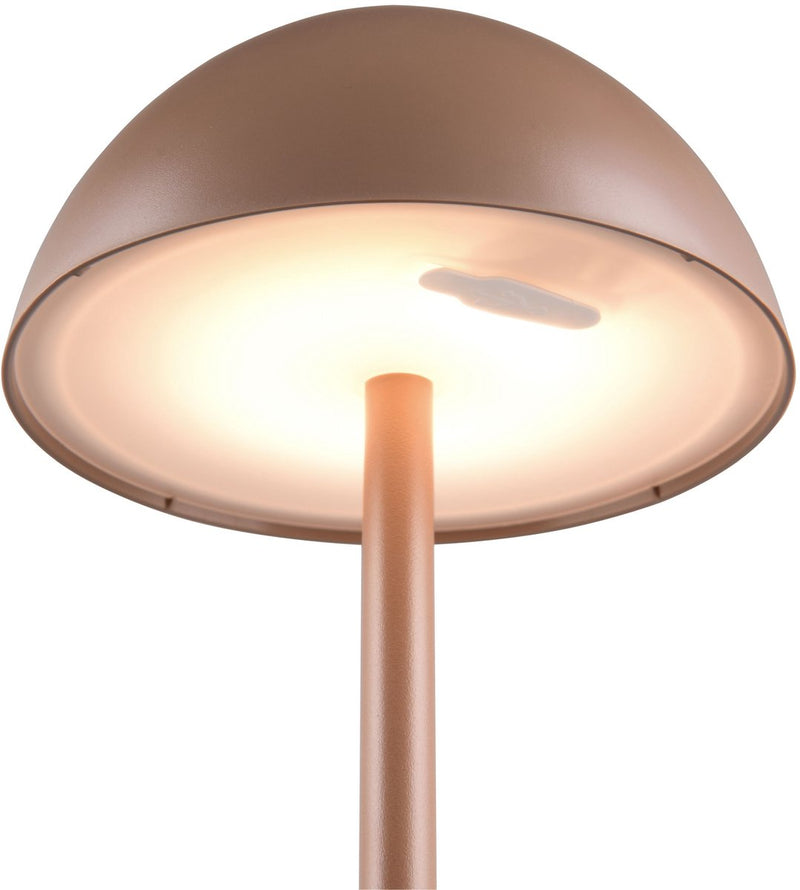 Rl vivi la tua realtà luminosa ricardo - lampada da tavolo - moka - incl. 1x SMD 1,7 W - touch in 4 fasi - connessione USB - illuminazione su e giù - ricaricabile - senza fili - illuminazione da esterno - IP54