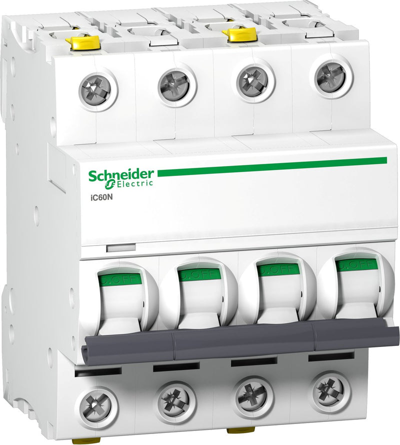 Interruttore automatico Schneider Electric A9F03425 A9F03425 25 A 400 V