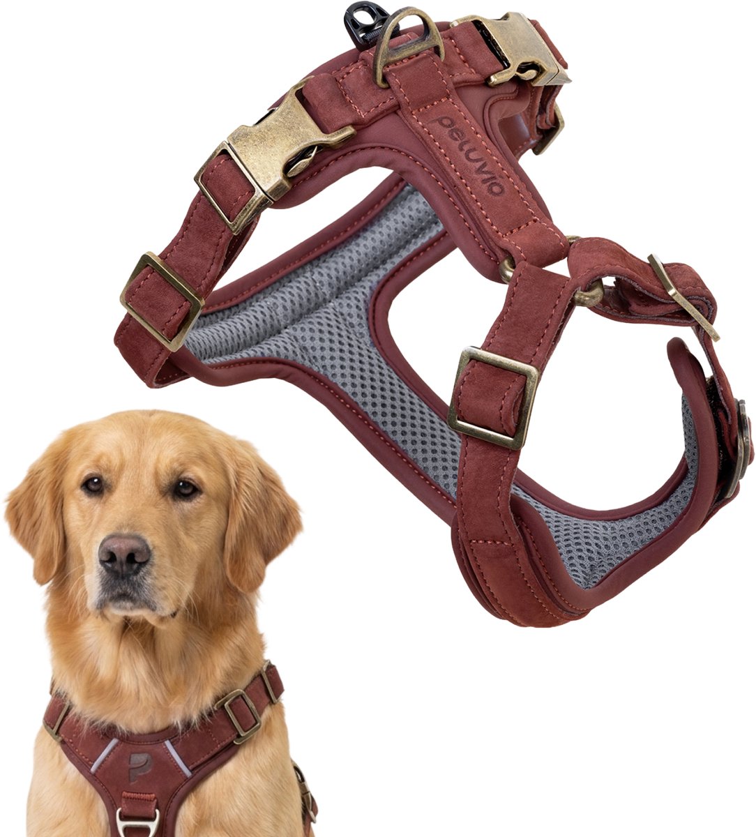 Peluvio Lord - Arnés de cuero para perros - Talla L - Arnés protector ergonómico hecho de cuero natural - Control de comodidad - Hebillas de cobre duraderas