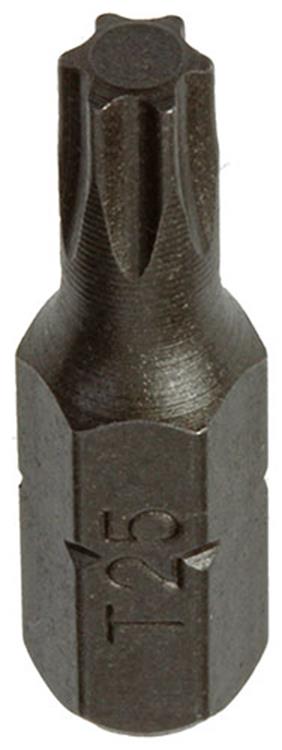 Mack 1017327 - punta torx acero sin tratar 2 piezas t 25 | 10 piezas