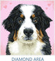 Diamond dotz® diamond dotz dog zuzu - diamond painting - 11.664 dotz - 29x29 cm