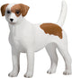 Mojo Farmland Jack Russell Terrier 387286