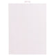 Vaessen creative • plastic stramien 21x28cm 14mesh wit
