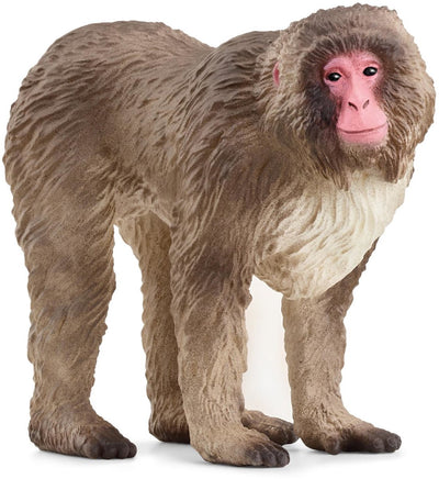 Schleich Wild Life giapponese Makaak 14871