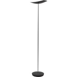 Floor lamp alba cup led black