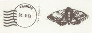 Vaessen creative • ribbon 25mx25mm postmark butterfly - afbeelding 1
