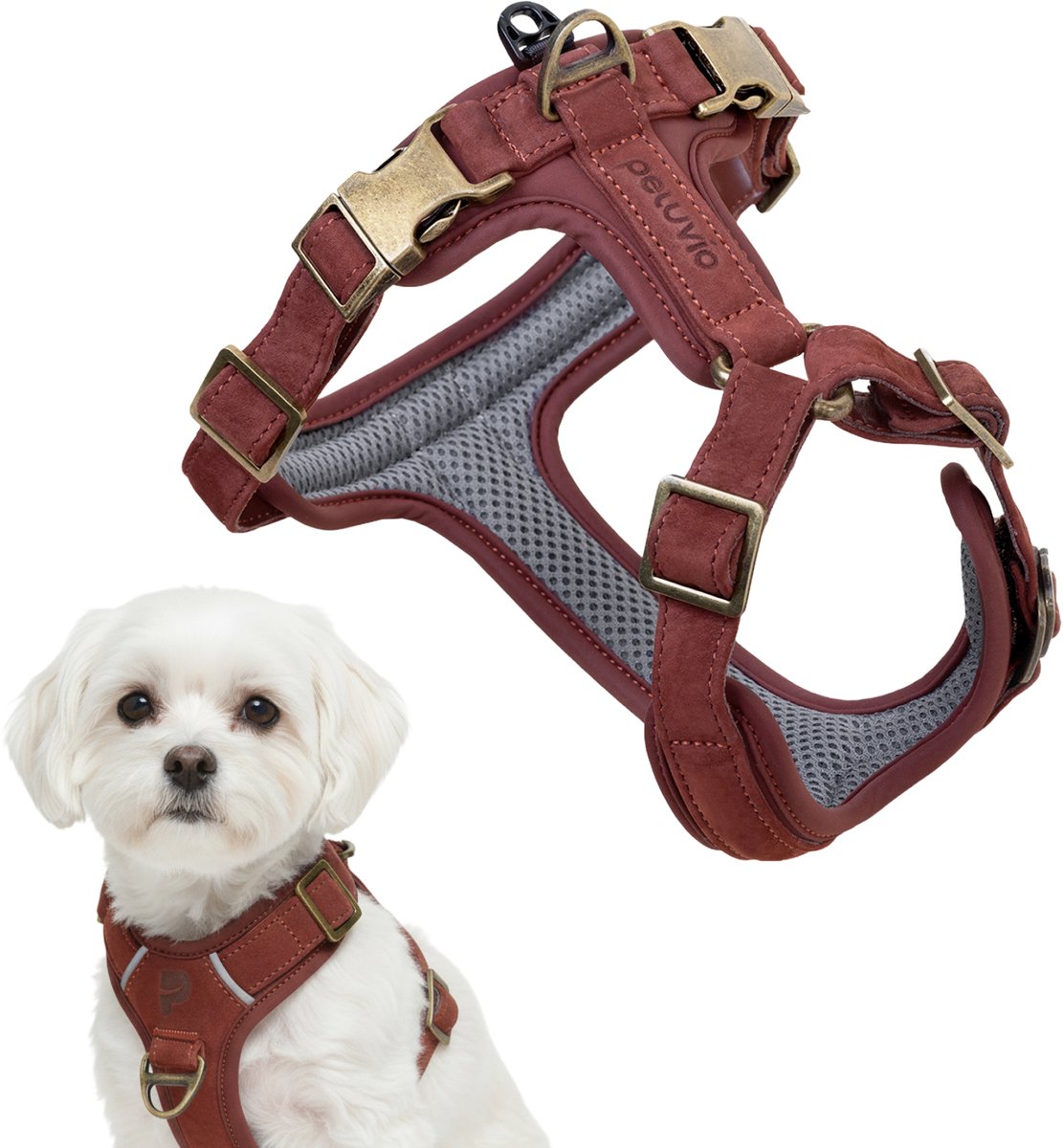 Peluvio lord - arnés de cuero para perros - talla xs - arnés protector ergonómico hecho de cuero natural - control de comodidad - hebillas de cobre duraderas