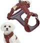 Peluvio lord - arnés de cuero para perros - talla xs - arnés protector ergonómico hecho de cuero natural - control de comodidad - hebillas de cobre duraderas