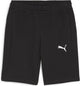 Puma teamgoal casuals shorts heren sportbroek - black- white