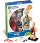 Modello anatomico delle risorse didattiche - corpo umano - 3+