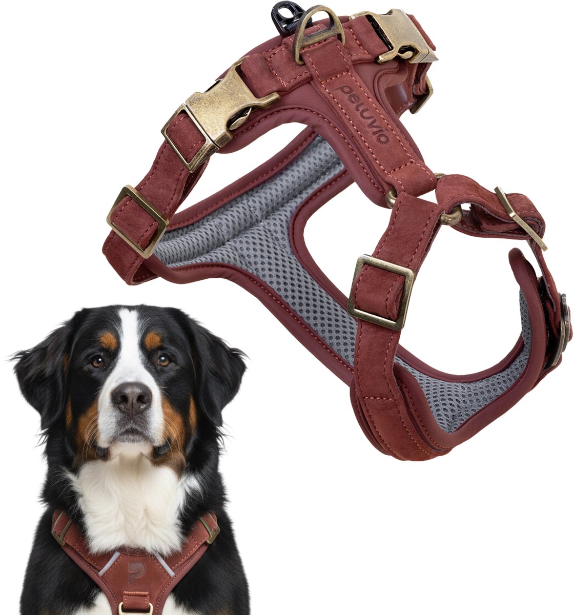 Peluvio Lord - Arnés de cuero para perros - Talla XL - Arnés protector ergonómico hecho de cuero natural - Control de comodidad - Hebillas de cobre duraderas