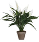Pianta artificiale con decorazioni in mica - pianta a cucchiaio di spathiphyllum - bianca - h50 x p40 cm