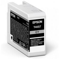 Cartuccia d'inchiostro originale Epson Ultrachrome PRO 10 c13t46s700 grigio