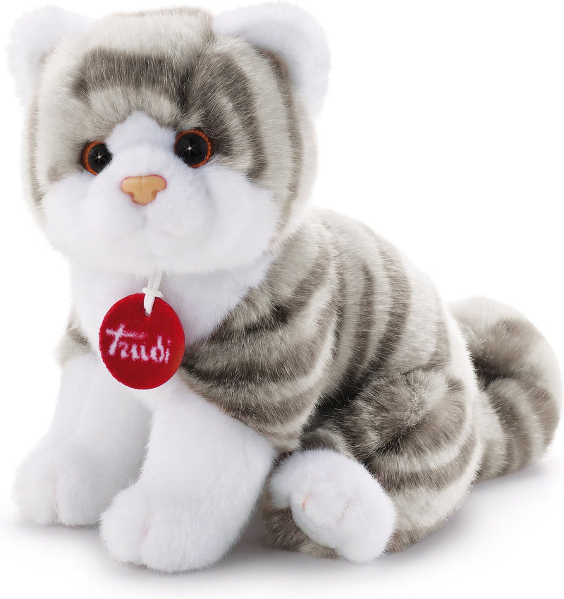 Kitten Brad White Grey 20 cm