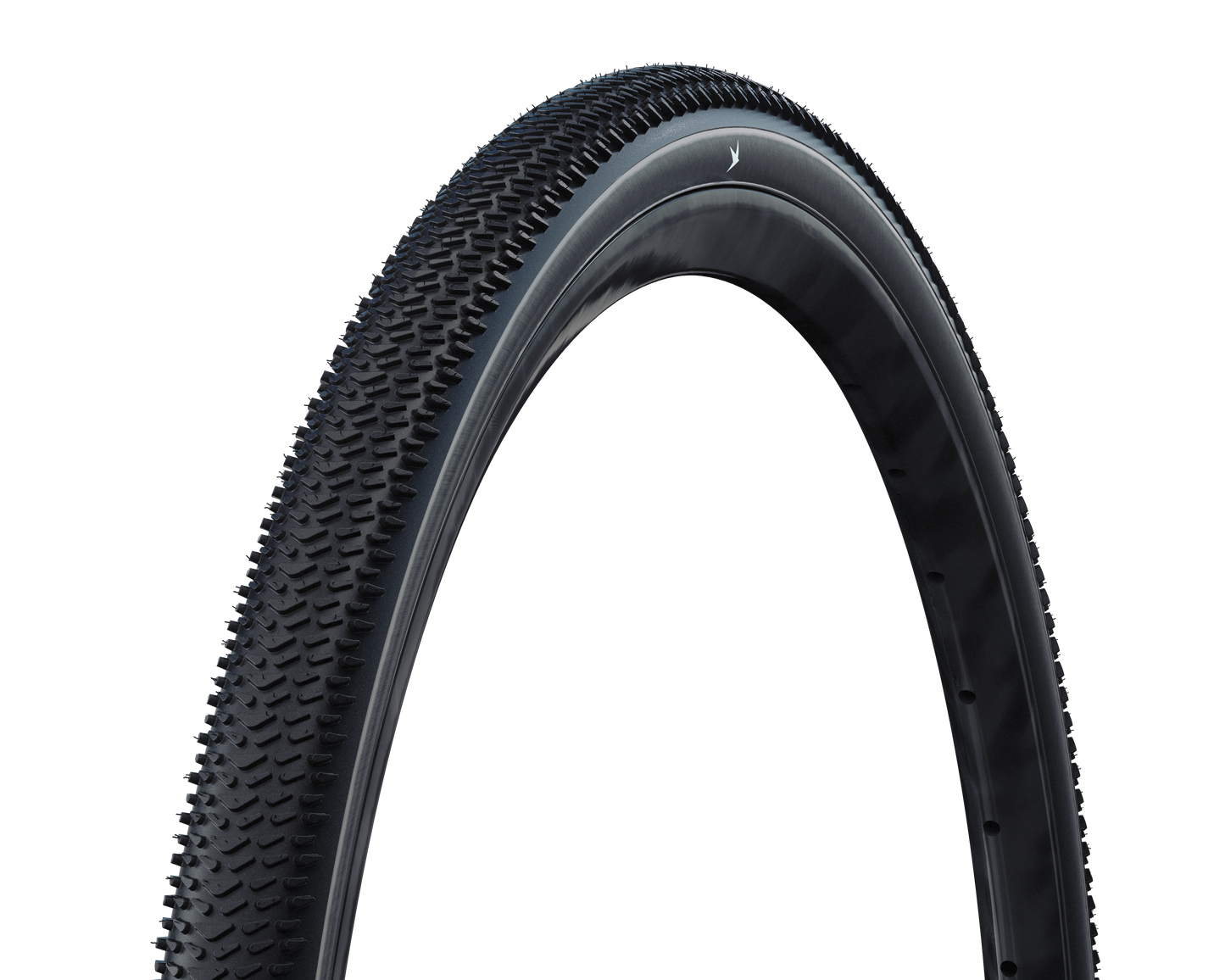 Schwalbe Tire G-One R Evo 28 x 1.70 SW Fold Tlr