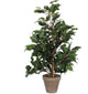 Mica decorations kunstplant tropische ficus - groen - 65 cm - binnen - kamerplant - nepplant - binnenplanten.