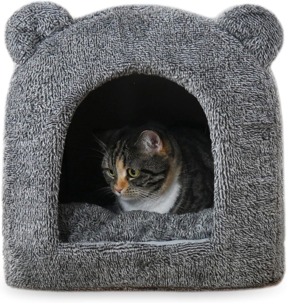 40 guiños canasta de gato Iglo Teddy Gray
