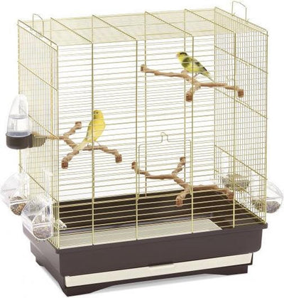 Imac bird cage carlotta brown brass (50x30x56