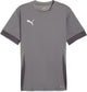 Puma teamgoal matchday jersey heren sportshirt - cast iron- white-shadow gray