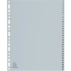 Pestañas exacompta 1-31 gris