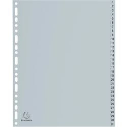 Tabs exacompta 1-31 gray