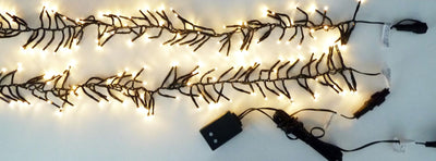 Il cluster di connessione di Lumineo LED inizia in bianco caldo 5 m