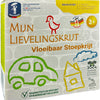 Feuchtmann My Favorite Row Liquid Sidewalk Chalk, 4x100gr.