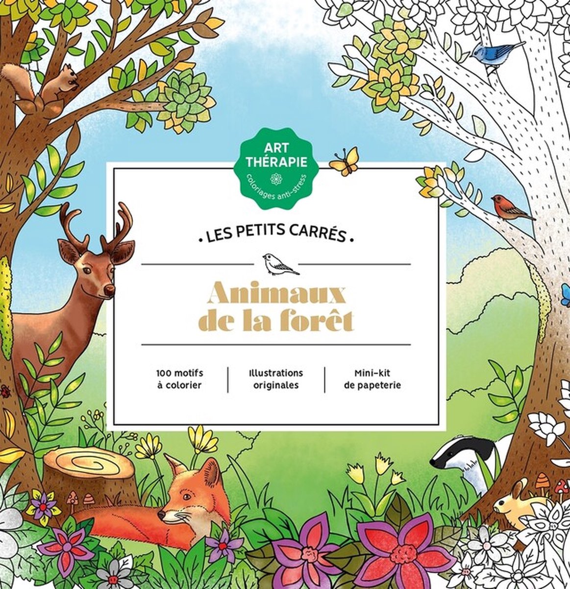Hachette Heroes les petits carrés - animaux de la forêt - hachette - libro da colorare per adulti