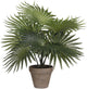 Mica decorations palm kunstplant struik - groen - h30 x d35 cm - top kwaliteit