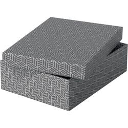 Scatola portaoggetti Esselte 628285 media piatta 9 l grigia