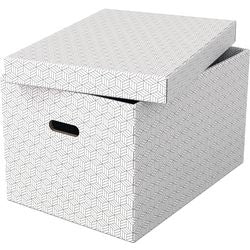 Scatola portaoggetti Esselte 628286 grande 55 l bianco