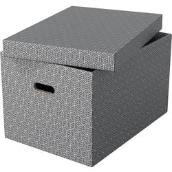 Scatola portaoggetti Esselte 628287 grande 55 l grigio