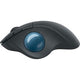 Logitech mouse 910-006221 black