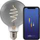 Nordlux g95-lichtbron-smart-deco filament-spiral-e27-smoke glas-1800k