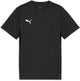 Maglia sportiva da ragazzo Puma Teamgoal Jersey Jr - nero-bianco-grigio scuro piatto