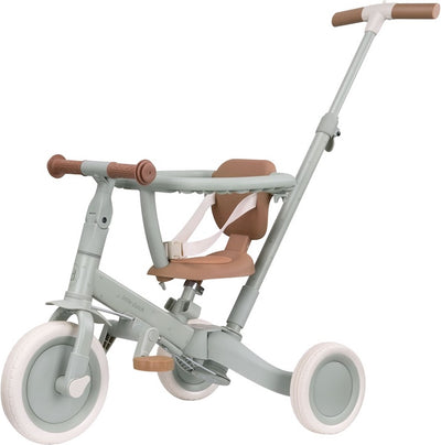 Little Dutch - 4 in 1 tricycle with push bar - green leaf