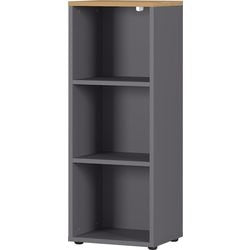 Librería Germania 4230-564 gris 1200 mm (h)