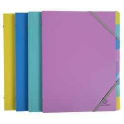 Carpeta clasificadora exacompta 56190e a4 surtido de colores