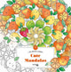 Hachette Heroes les grands carrés graziosi mandala - - libro da colorare per adulti
